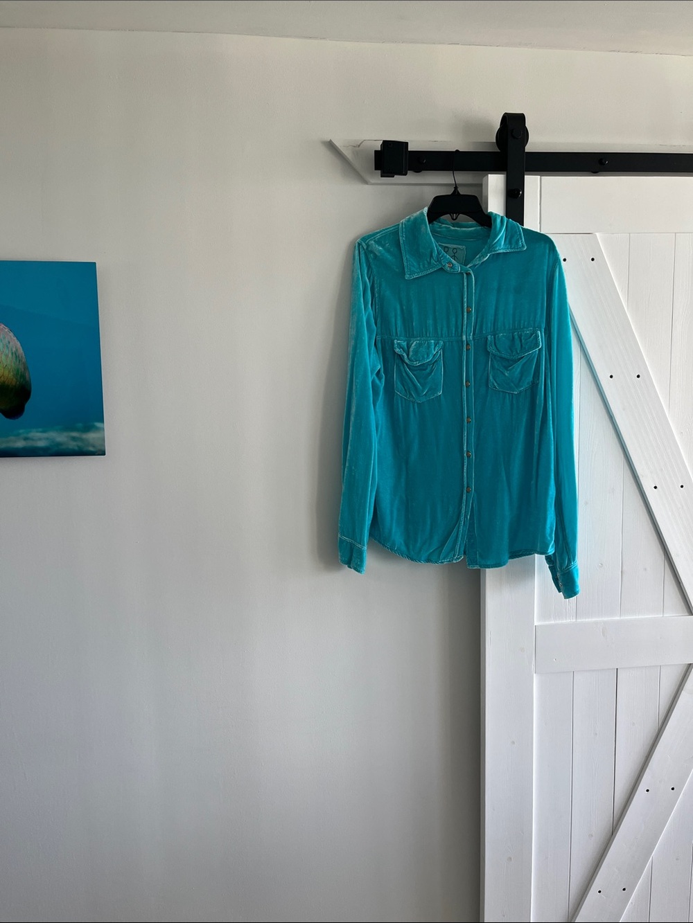 Johnny Was Turquoise Button-Down Velvet Shirt